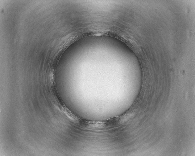 X0000087370288200705111718