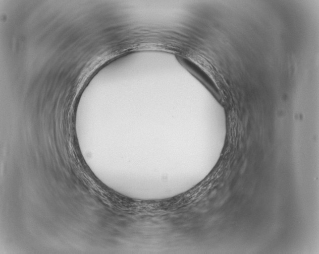 X0000087370289200705111717