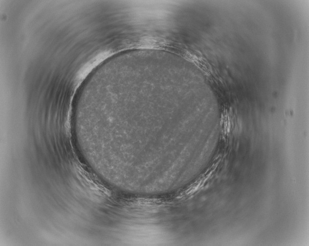 X0000087370292200705111717