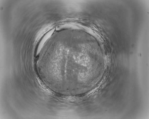 X0000087370293200705111717