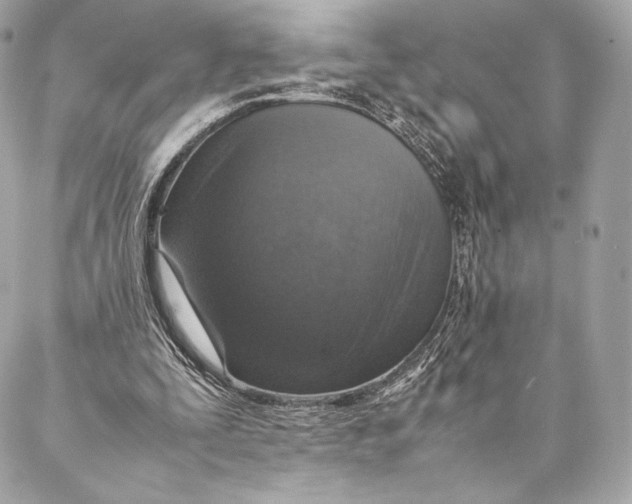 X0000087370295200705111717