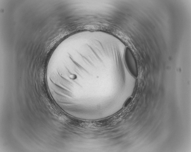 X0000087370297200705111717