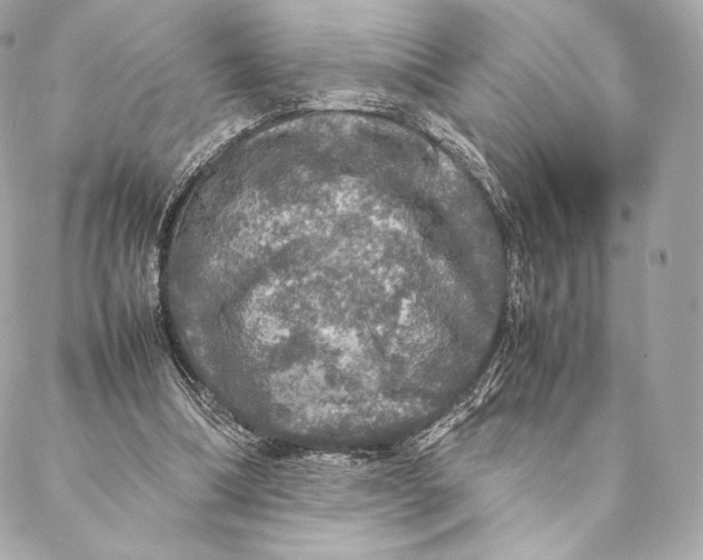 X0000087370298200705111717