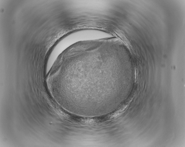 X0000087370301200705111717