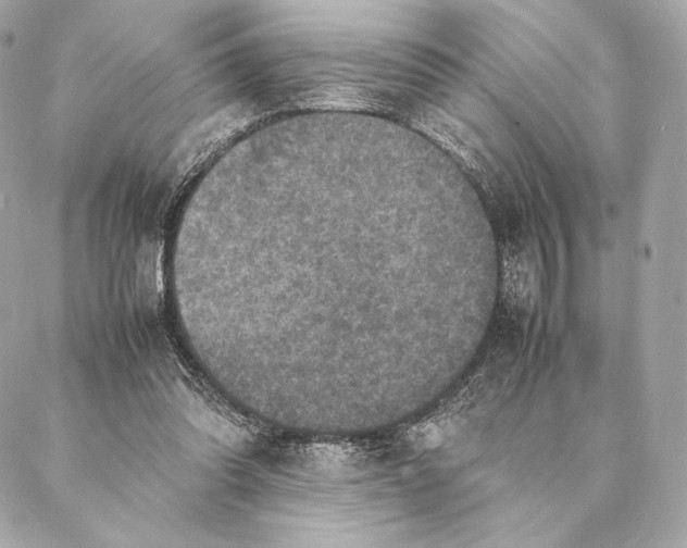 X0000087370302200705111717