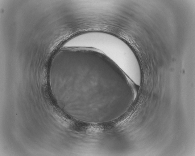 X0000087370303200705111717