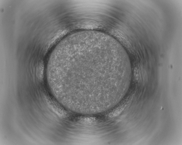 X0000087370304200705111717