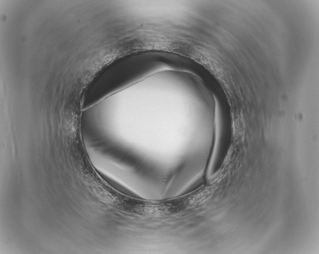 X0000087370305200705111717