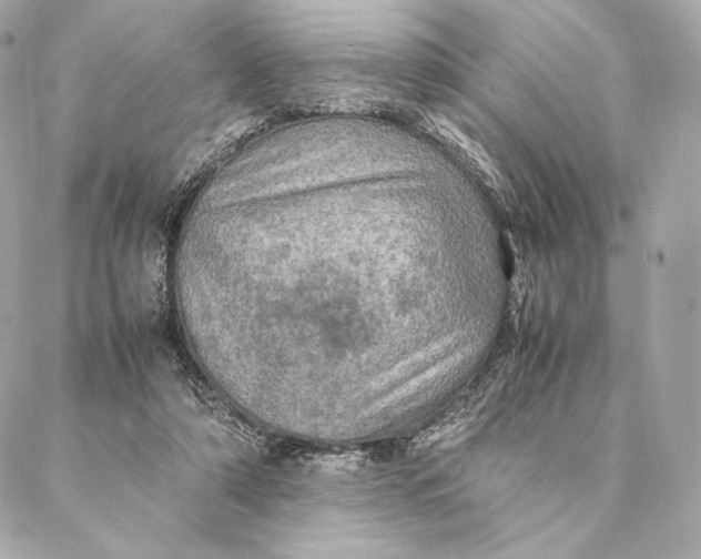 X0000087370306200705111717