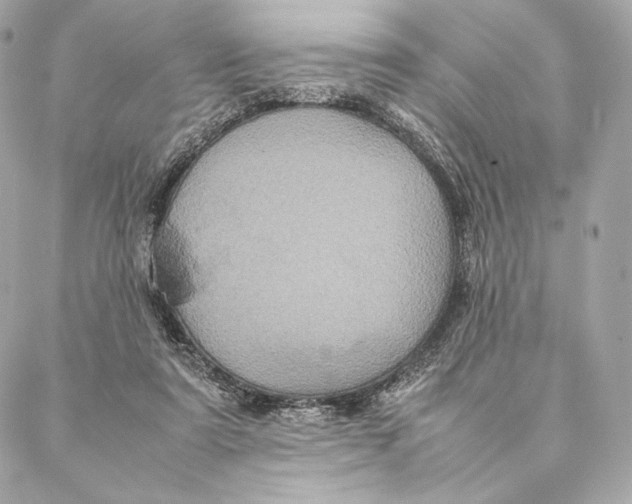 X0000087370307200705111717