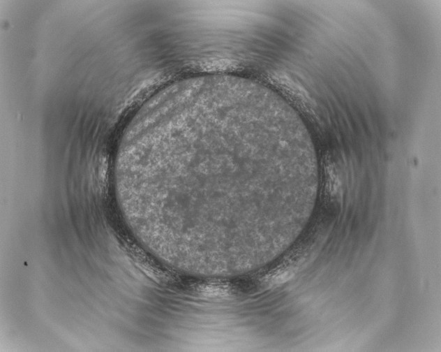 X0000087370308200705111717