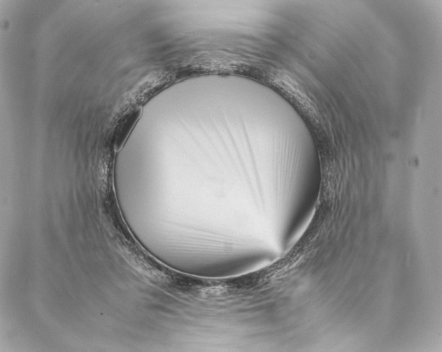 X0000087370309200705111717