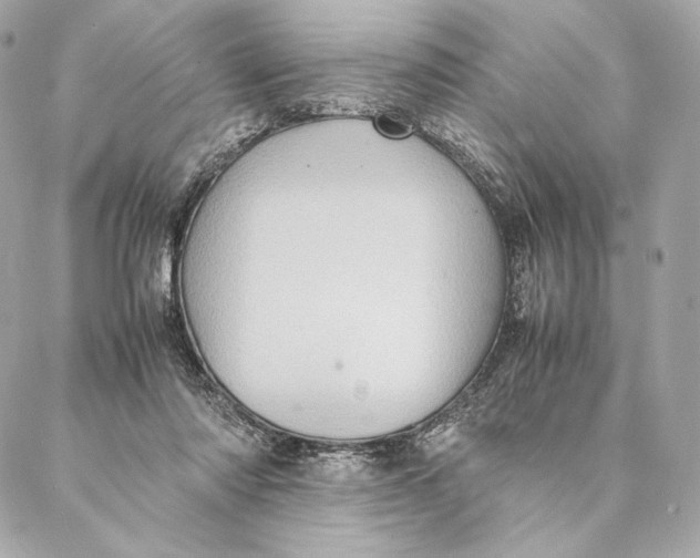 X0000087370310200705111717