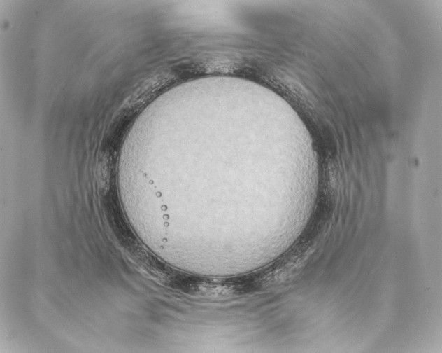 X0000087370311200705111717