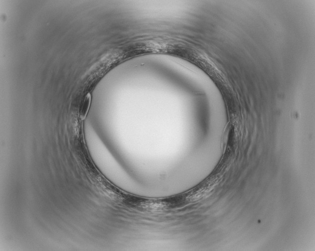 X0000087370313200705111717