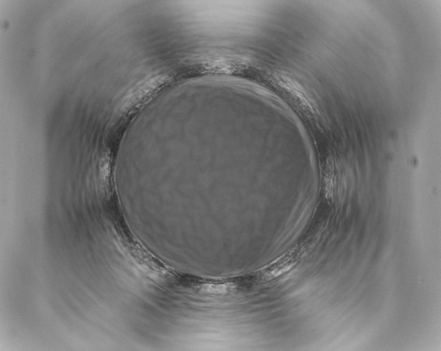 X0000087370314200705111717