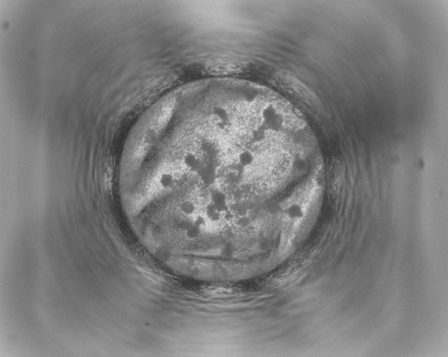 X0000087370315200705111717