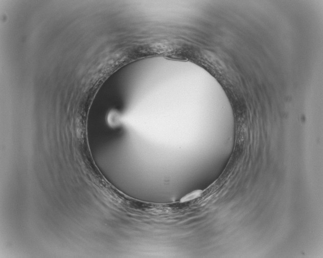 X0000087370317200705111717