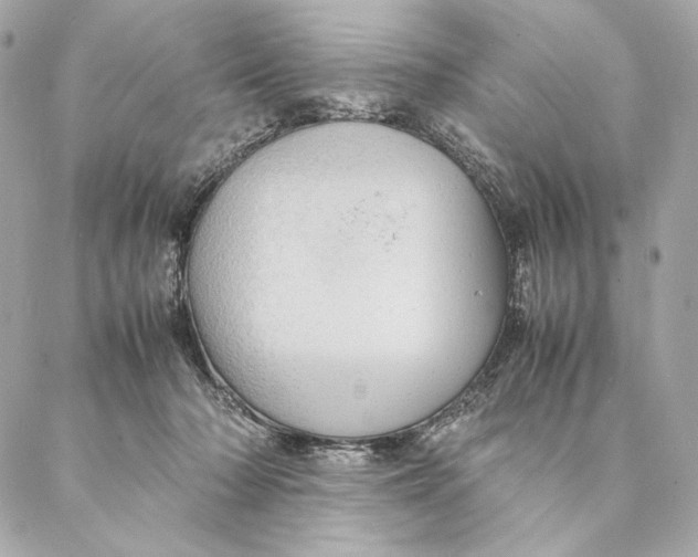 X0000087370318200705111717