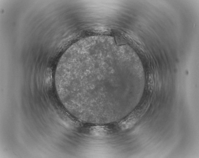 X0000087370320200705111717