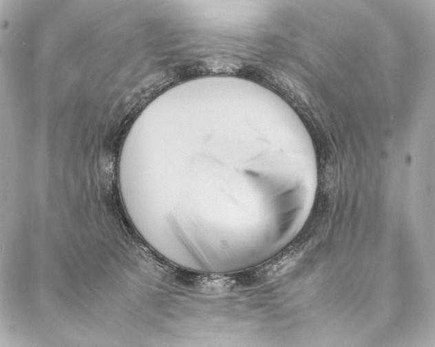 X0000087370321200705111717