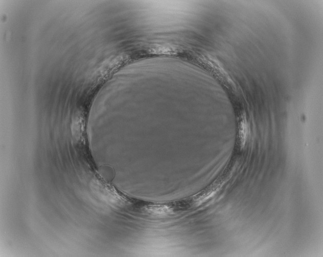 X0000087370322200705111717