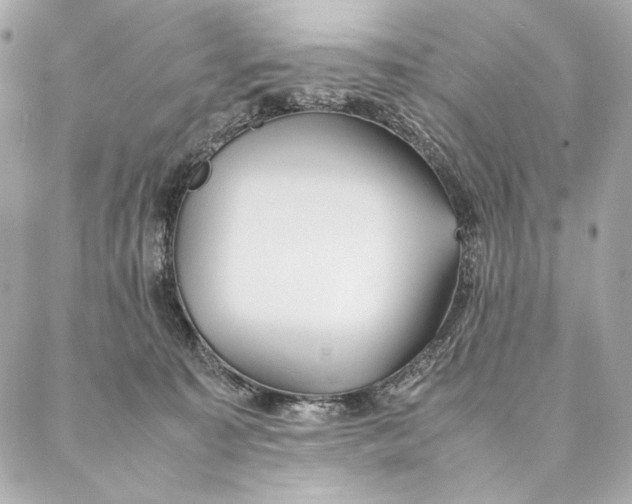 X0000087370323200705111717