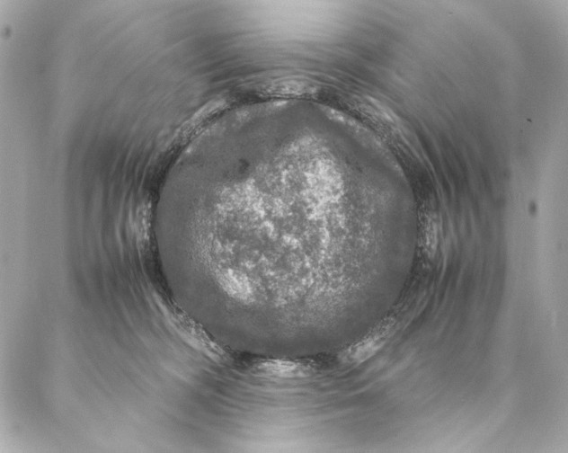 X0000087370326200705111717