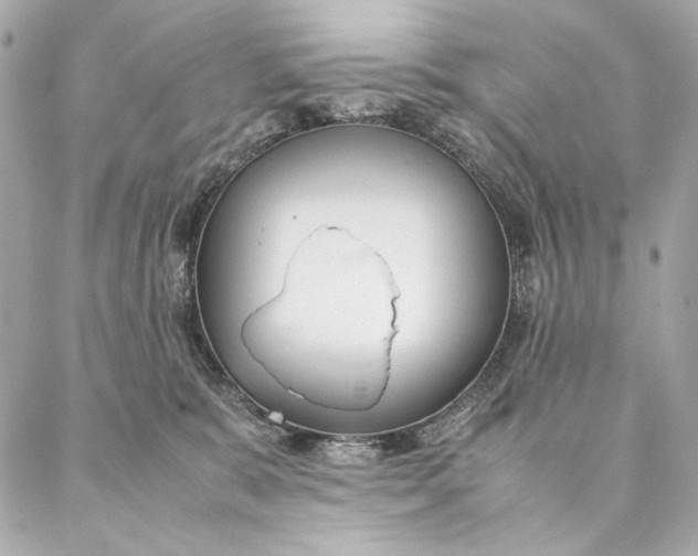 X0000087370327200705111717