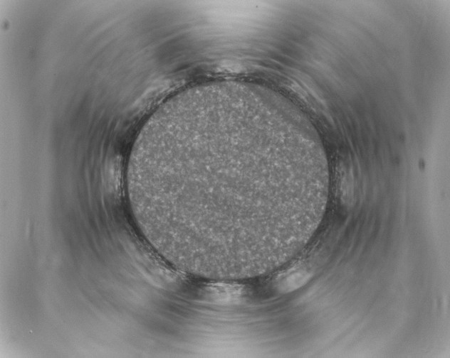 X0000087370328200705111717