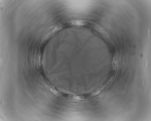 X0000087370330200705111716