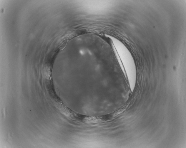 X0000087370331200705111716