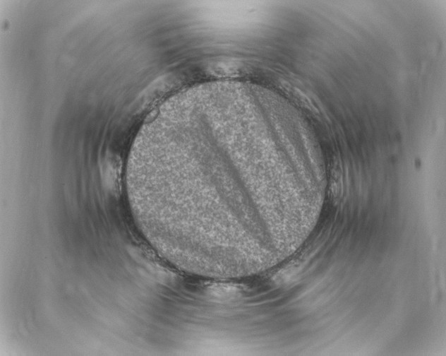 X0000087370332200705111716