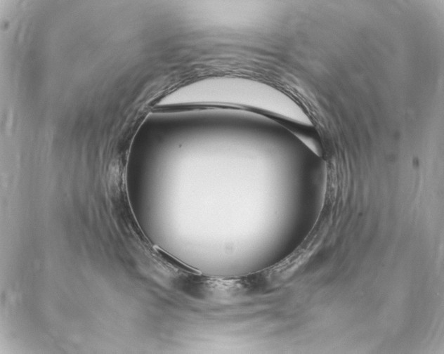 X0000087370333200705111716