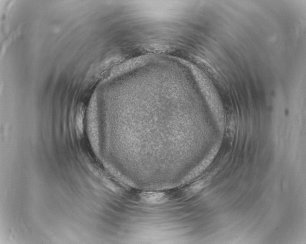 X0000087370334200705111716