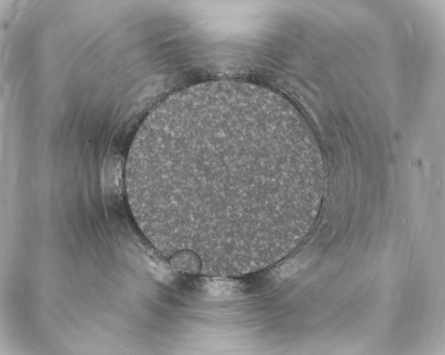 X0000087370336200705111716