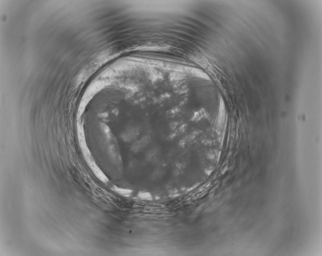 X0000087370337200705111716