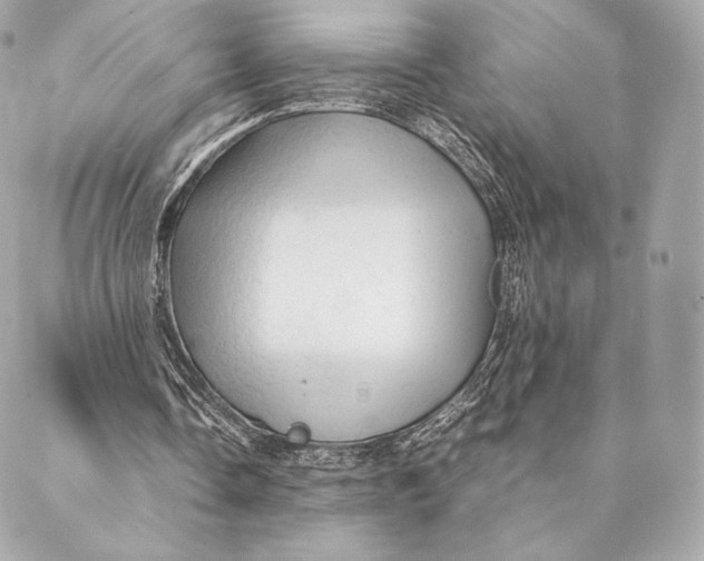 X0000087370338200705111716