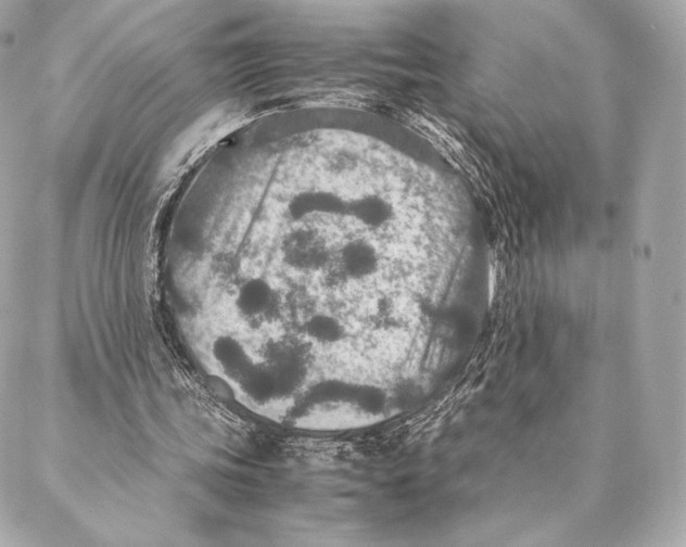 X0000087370339200705111716