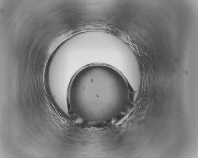 X0000087370340200705111716