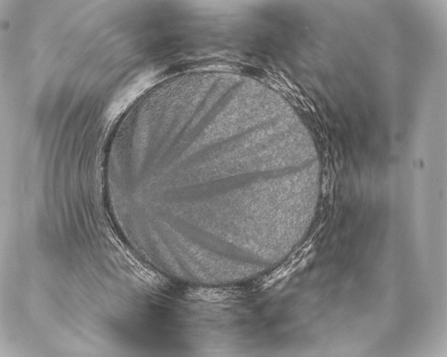 X0000087370341200705111716