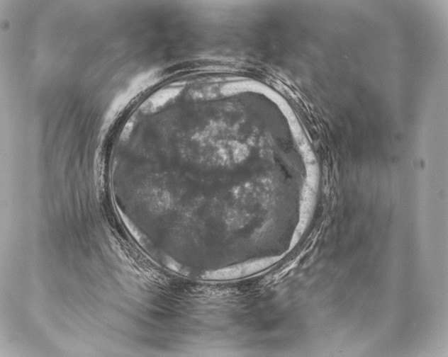 X0000087370343200705111716