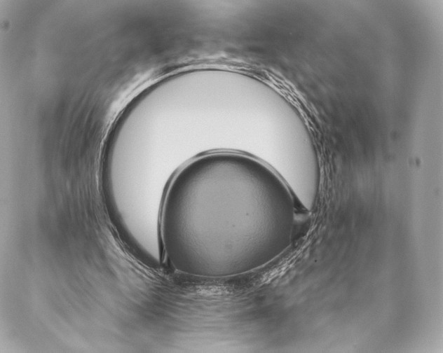 X0000087370344200705111716