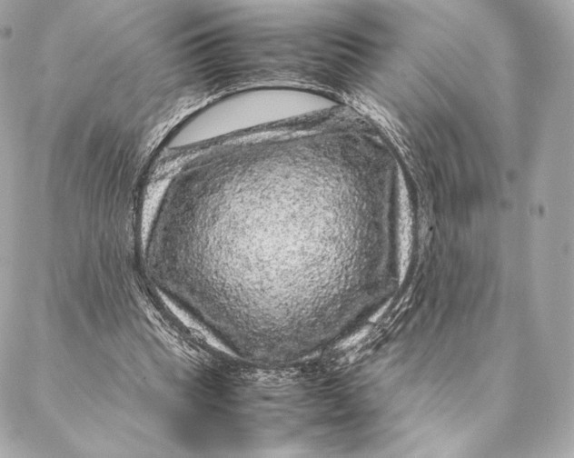 X0000087370345200705111716