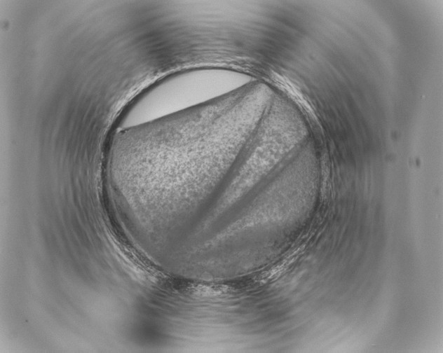 X0000087370346200705111716