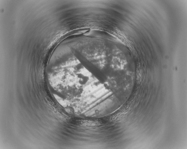 X0000087370347200705111716