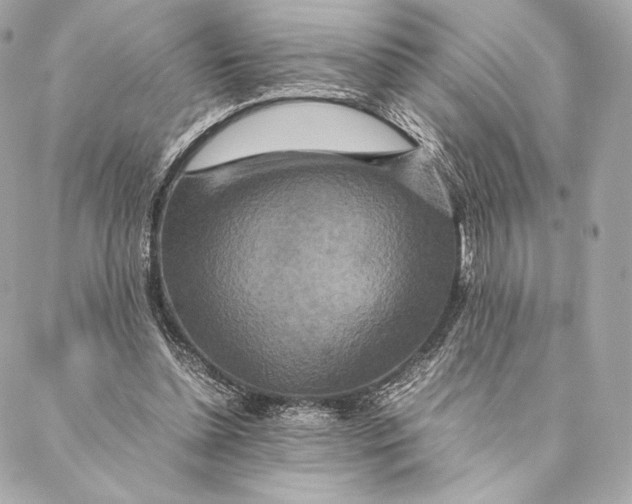 X0000087370348200705111716