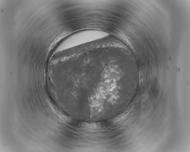 X0000087370349200705111716