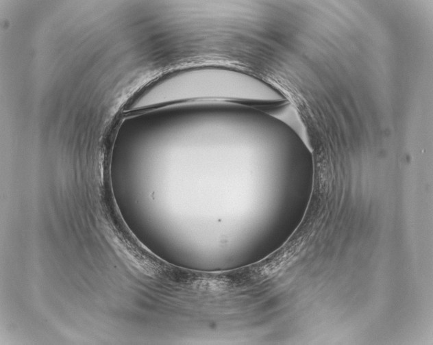 X0000087370350200705111716