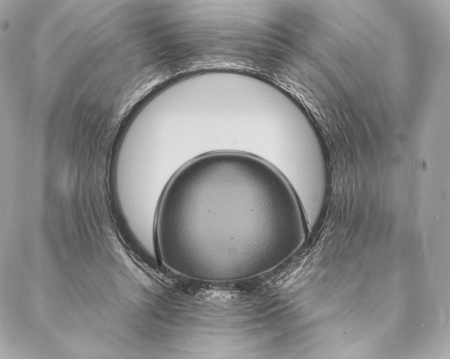 X0000087370352200705111716